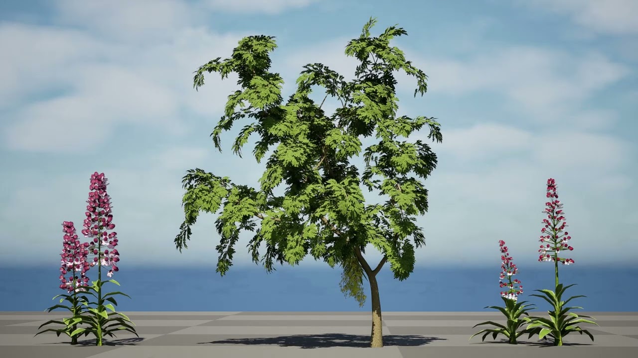 Confezione di piante di orchidea Lady britannica Modello 3D