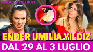 Download lagu FORBIDDEN FRUIT ANTICIPAZIONI: Ender ROVESCIA il cibo addosso a Yıldız davanti a tutti mp3