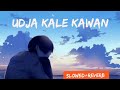 Udja Kale Kawan (Slowed + Reverb) | Gadar | Victory | Lofi Song |
