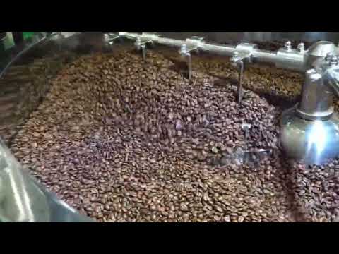 Hoi An Roastery - Processo de café 2023 #hoianroastery #vietnamcoffee