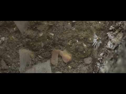 afbeelding Teaser | Aether | Rûken Tekeş