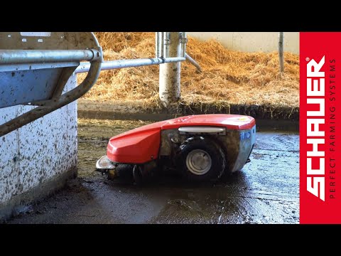 Enro Entmistungsroboter im Milchviehbetrieb!