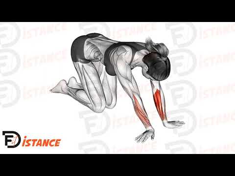 Exercice Étirement des fléchisseurs et déviateurs radiaux du poignet