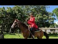 Everything Is New From My Slave Horse Riding Cruel Riding Cruel Horse Riding Hard Horse Riding