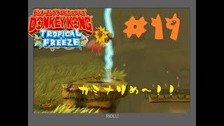 【ドンキーコングＴＦ】3－3「負けるなランビ！トルネード」
