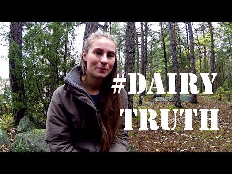 DAIRY INDUSTRY - critical animal studies