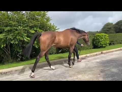 Video 2