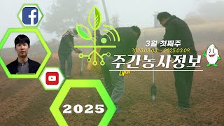 ✨[ 주간농사정보 ] 3월 1째주 (2025. 03. 03. ~ 03. 09.)