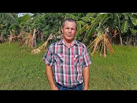 Aceleran la recuperación en el polo productivo de Jesús Menéndez de #LasTunas