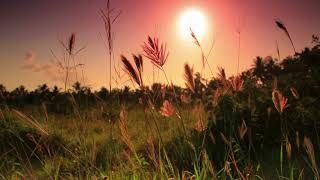 Video Fafex  - Kukučka