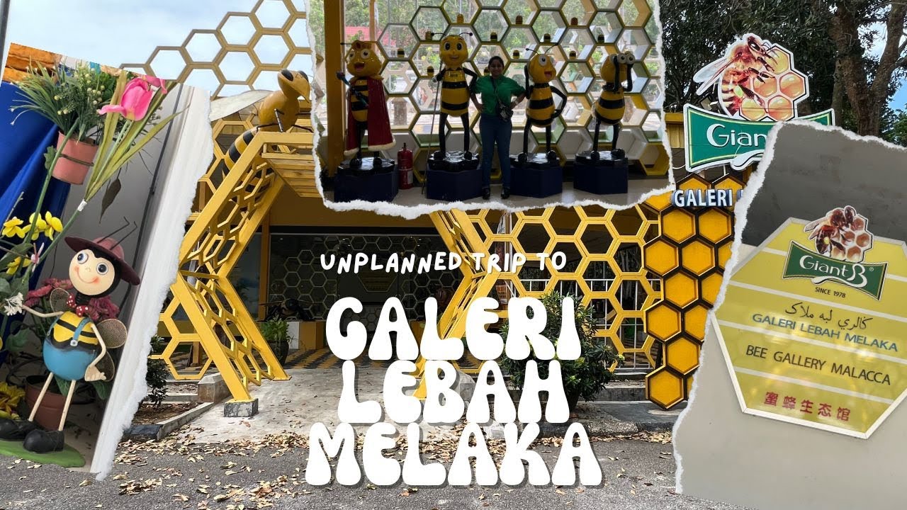 Experience a virtual tour of Melaka Bee Gallery.