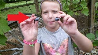 We make treats fresh from our grandma&#39;s garden!!