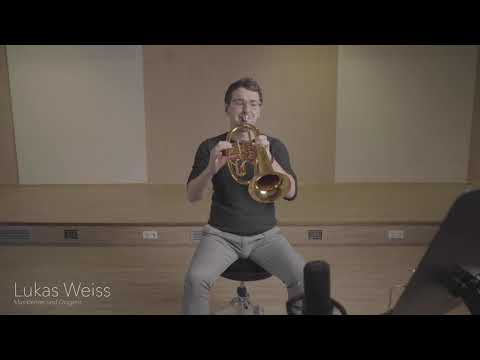 Trompete "Auf Flügeln des Gesangs" - Felix Mendelssohn-Bartholdy (D1)