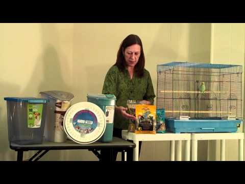 download lagu mp3 mp4 Bird Food Moths, download lagu Bird Food Moths gratis, unduh video klip Bird Food Moths