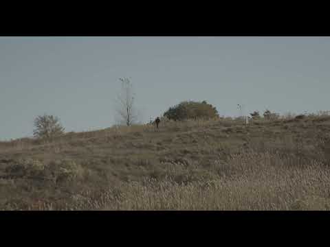 BINNIE MUSA - SQUARE ROOTED