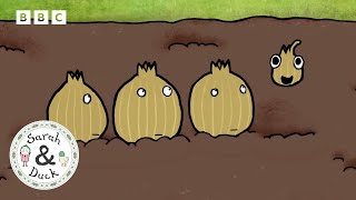 Shallots, Ahoy! | Sarah and Duck Official