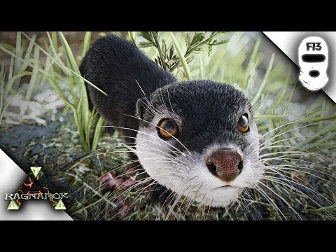 HOW TO TAME AN OTTER! THE CUTEST CREATURE IN ARK! Ark: Survival Evolved [Master Zoologist E8]