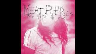 Meat Puppets "Too high to die" (FULL ALBUM)