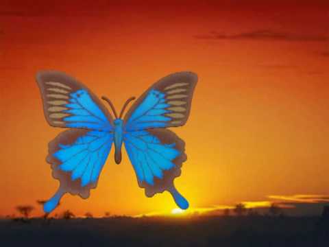 Cinta Indah  ( Beautiful love )