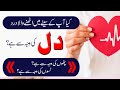 Sene Ke Dard Aur Dil Ke Dard Mein Kia Faraq Hai Difference Between Chest Pain And Heart Pain