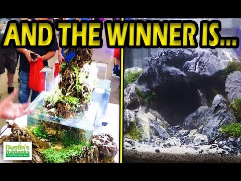 Aquascaping Contest, The WINNING Aquascaper is...