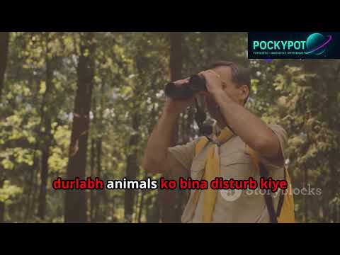 What If We Had Invisibility Cloaks? | What Does Science Say?