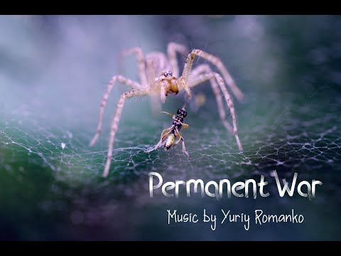 Permanent War