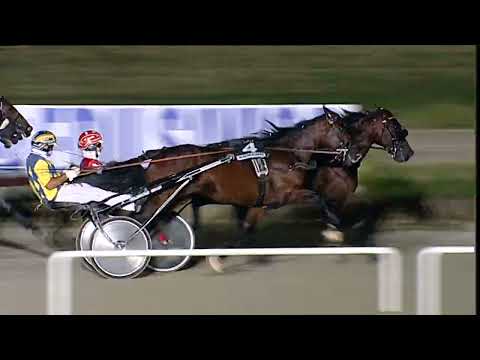 Napoli Trotto 17/06/2023 - 6ª corsa