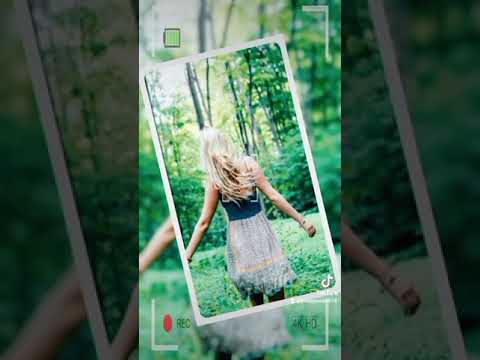 artists shy tonw young pix official