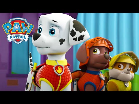 Un bun venit regal! - PAW Patrol Romania - Desene animate pentru copii