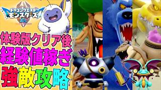 体験版で差をつけろ！序盤の強敵を簡単撃破！ギガントヒルズ・グリズリー・じんめんじゅ周回ルート・強敵3体周回で最速レベル上げ＆経験値稼ぎ解説！【 ドラゴンクエストモンスターズ４ 】