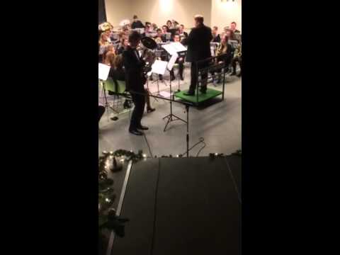 Solo Rodin Rosendahl