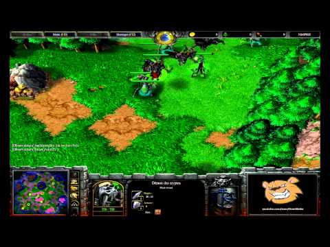 [HD.WC3#042] PEACE.coMM+Peace.Cechi vs EnTeee+PwNu.WaN - HUvUU - Game 1 - Warcraft 3 Replay [FR]