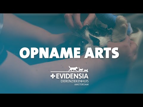 Dierenziekenhuis Amsterdam - Dierenarts Opname & Intensieve Zorg