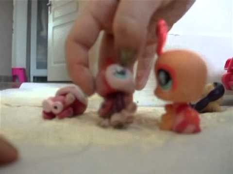 Littlest Pet Shop Friends : A la Plage Nintendo DS