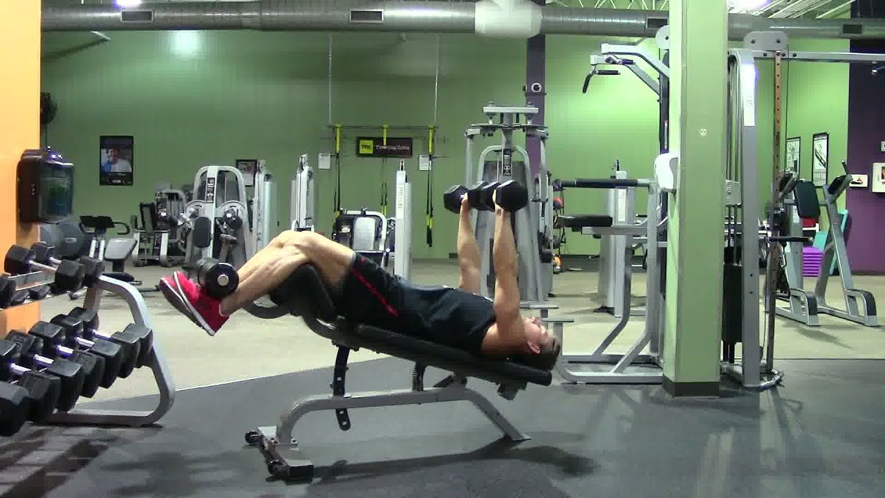 Decline Dumbbell Press demonstration video