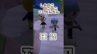 【あつ森】ジユさんの島民ガチャ奮闘記（１日目）【にじさんじ／切り抜き／ジユ(오지유)】