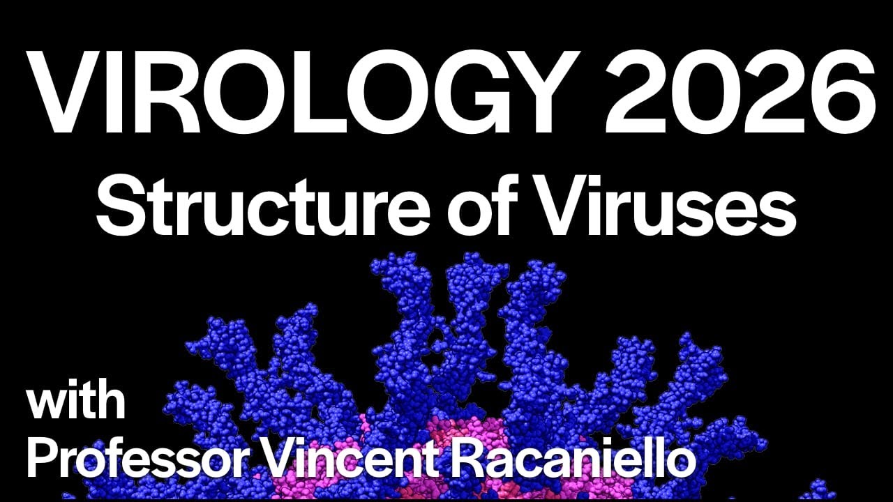 Virology Lectures 2026 #4: Structure of Viruses
