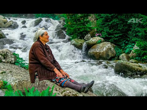 Highland Heritage - Life in Nature | Documentary ▫️4K▫️