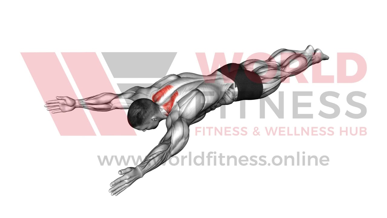 Bodyweight Lying Prone Ys Demo