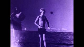 Flies Inside The Sun - Sleepwalk