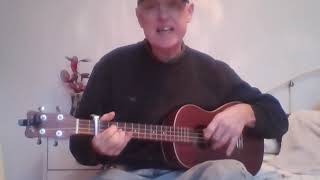 Pale Blue Eye's--- Velvet Underground --- baritone ukulele cover,