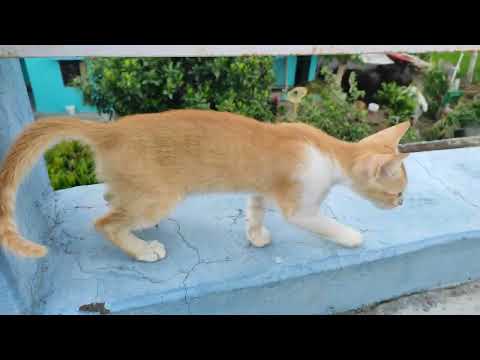 suhana mausam❤❤❤