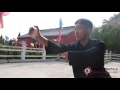 Shaolin Quan 少林拳 Martial Arts Of Shaolin Shaolin Kung Fu Training