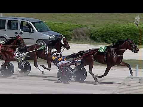 Aversa trotto 10 Aprile 2021 - 1° Corsa