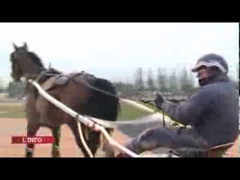travail de tiego d'etang ce lundi 13 janvier à grosbois