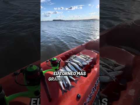 Agenda! 19/04/2026 8vo. Torneo de Kayakfishing en Laguna Cuero de Zorro, Trenque Lauquen