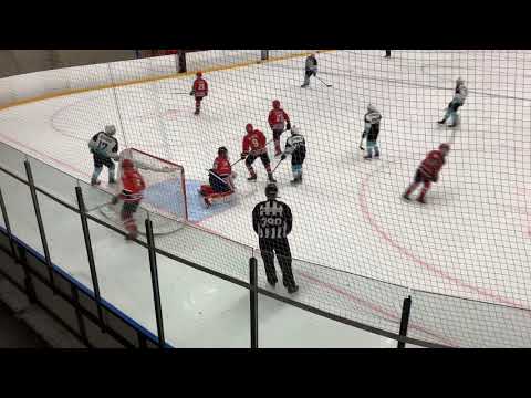 Pelicans Turkoosi 1 AAA - Hifk Red 12.1.20 1. Erä Paloheinä