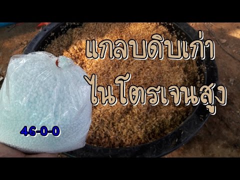 ธ อร์ขุดเจาะค้อนพระเครื่อง ซื้อกองทุนเพื่อความแข็งแรงชาย