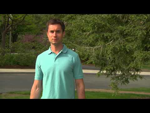 Hemlock Woolly Adelgid ID (Outsmart App)